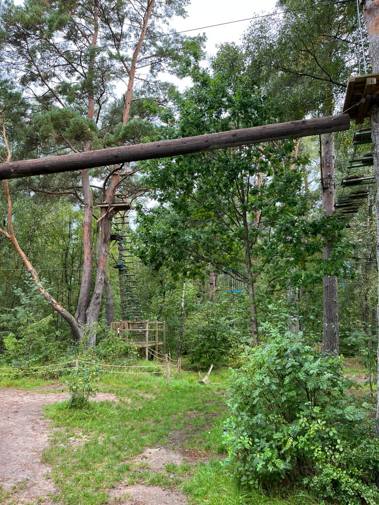 Ropes course in the trees, including ladders and bridges