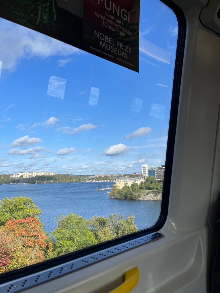 The view out the subway window of water and fall foliage